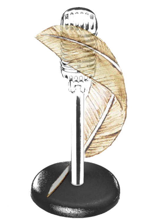 logo des soirées bokantaj présentant un micro entouré d'une plume